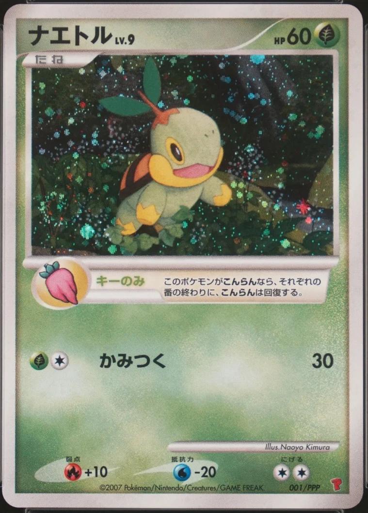 Japanese Promo Turtwig [Fan-Club] Pokémon card